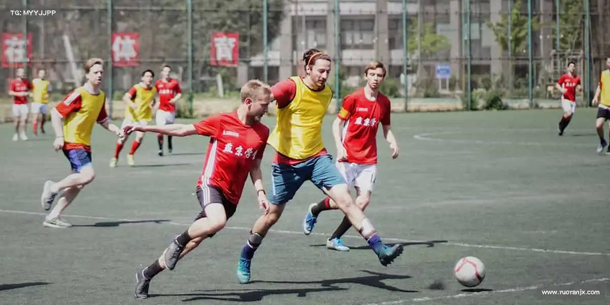 为什么选择我们